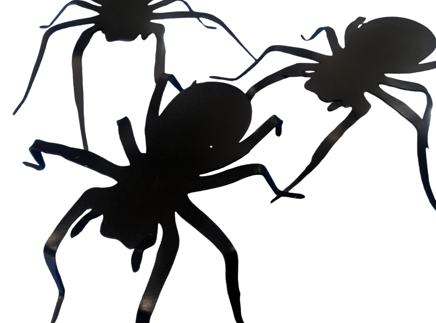Black Silhouette 3D Spider Halloween Decoration 5.5"W x 5.5"L x1.5"H